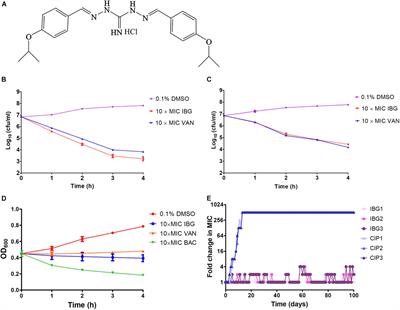 Isopropoxy Benzene Guanidine Kills Staphylococcus aureus Without Detectable Resistance